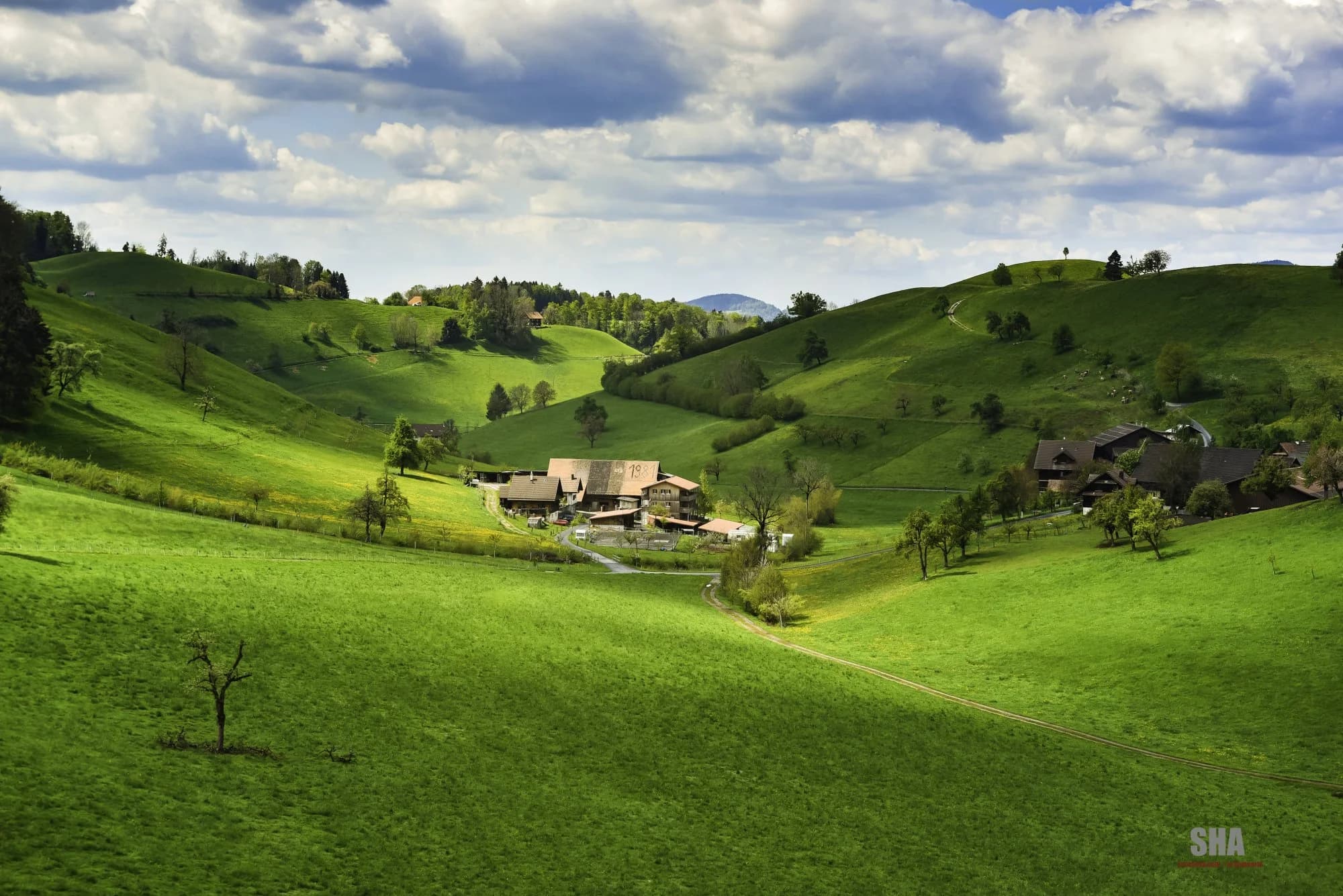 Landscape photography by Sha — photo 7