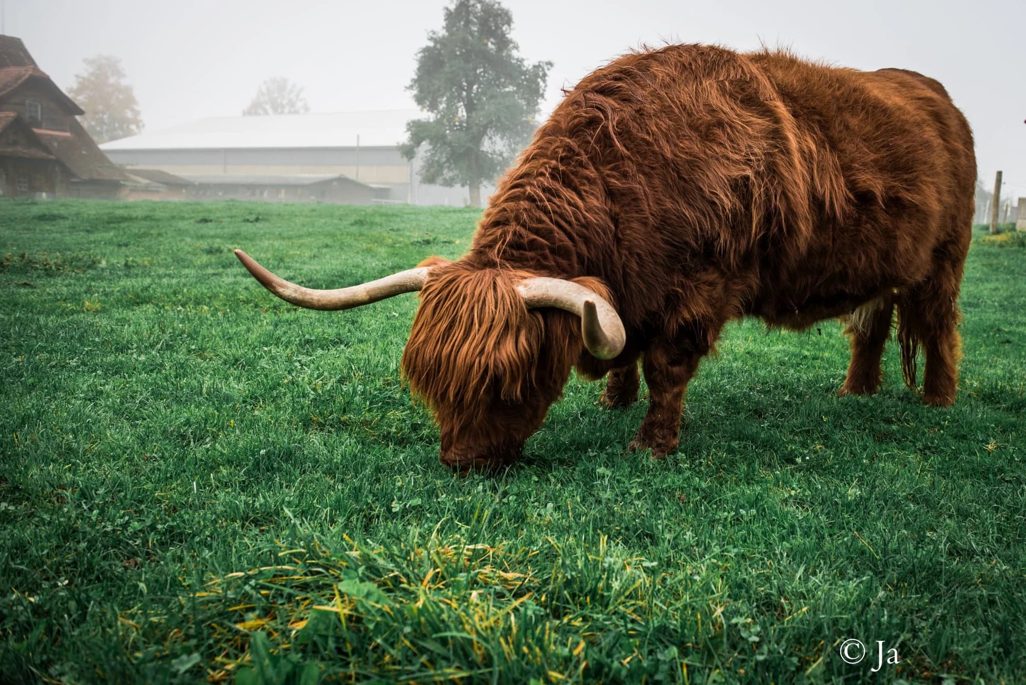 Landscape photography by Sha — photo 9