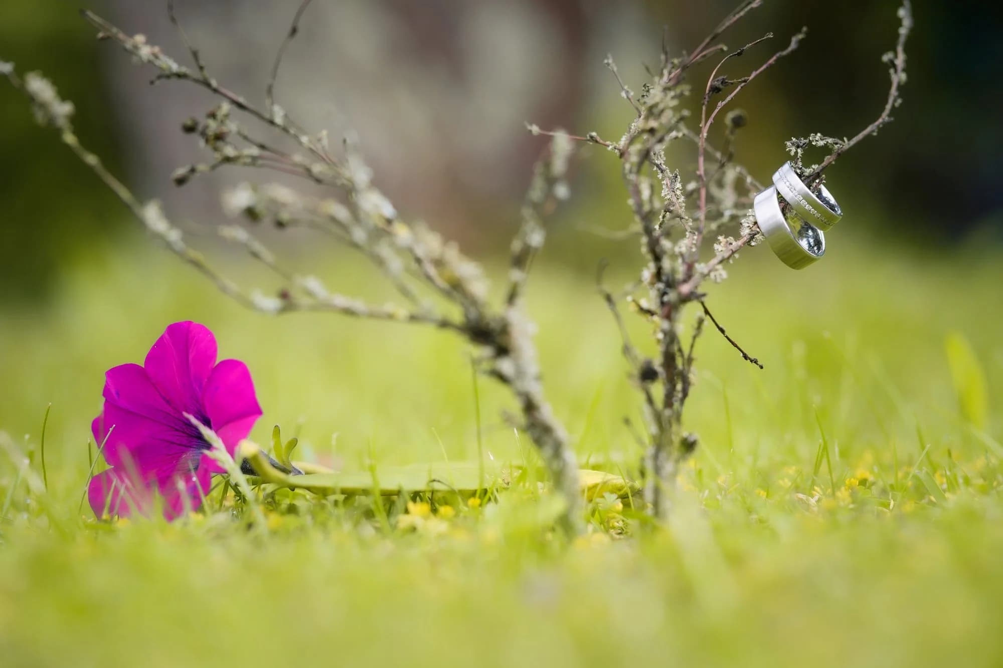 Wedding photography by Sha — photo 1